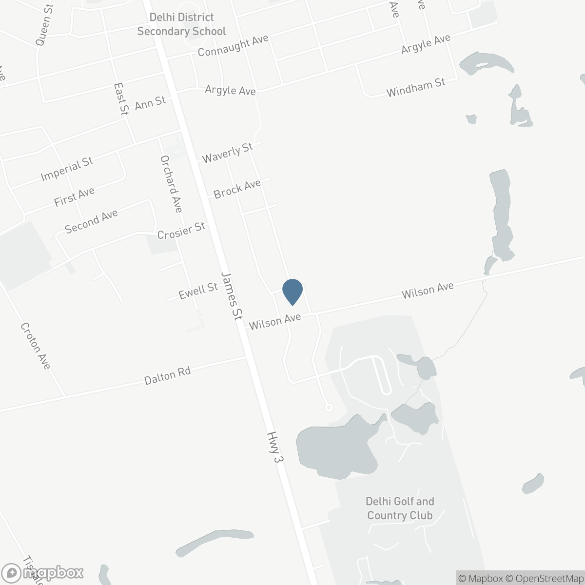 60 SMITH Avenue, Delhi, Ontario N4B 1B8